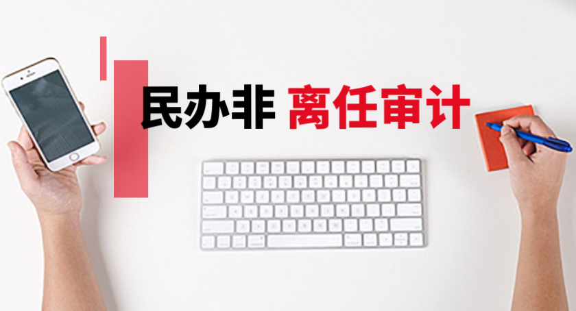 民办非离任审计.png