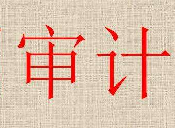 成都民办非审计.png