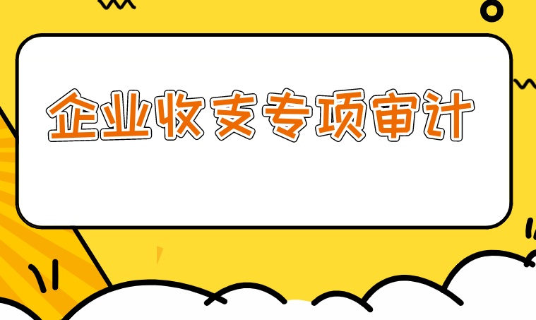 企业收支专项审计.png