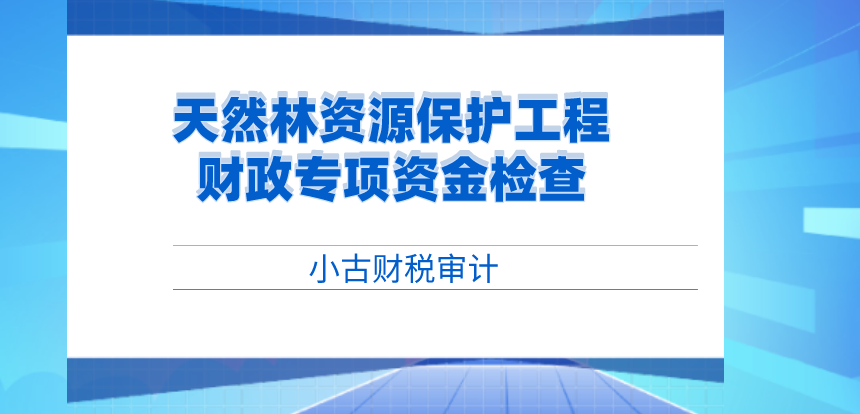 天然林.png