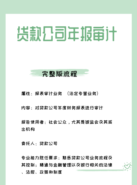 贷款公司年报.png