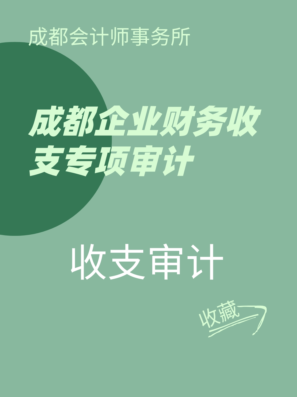 成都公司收支审计.jpeg