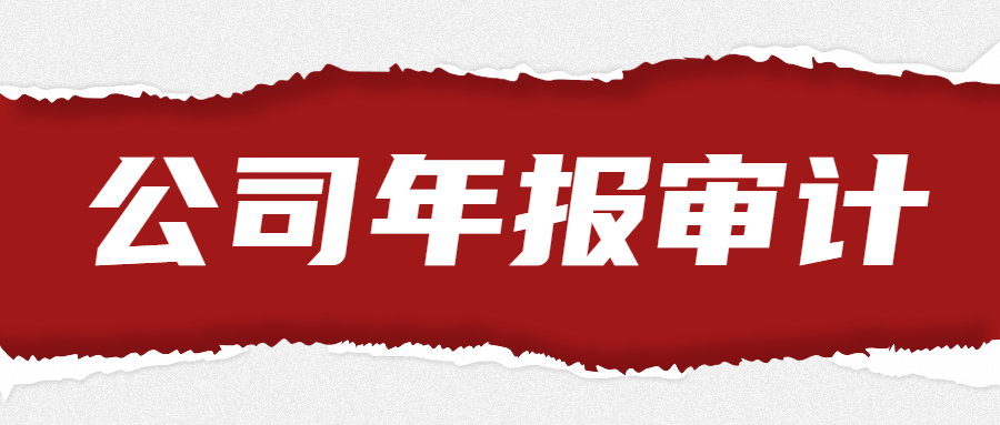 成都公司年报审计.jpg