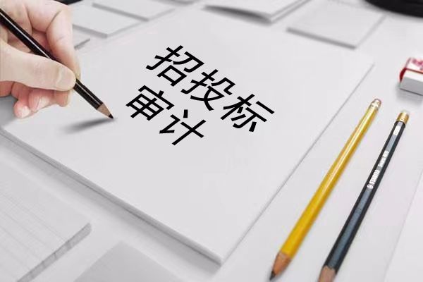 招投标审计.jpg