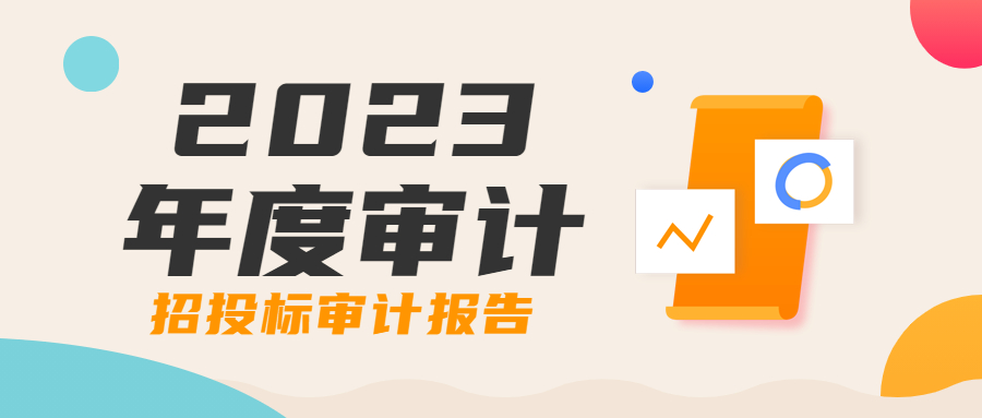 招投标审计3.jpg