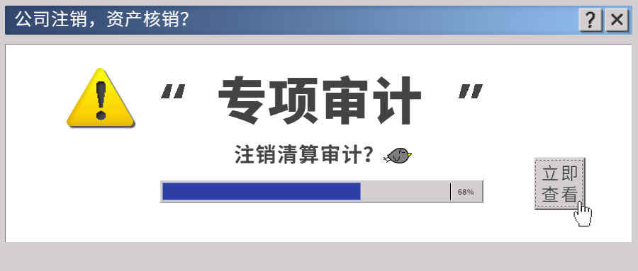 公司注销清算审计.jpg