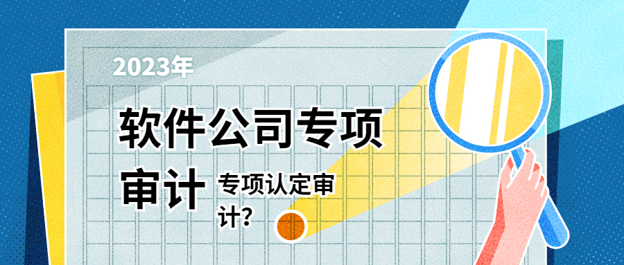 软件公司专项审计.jpg
